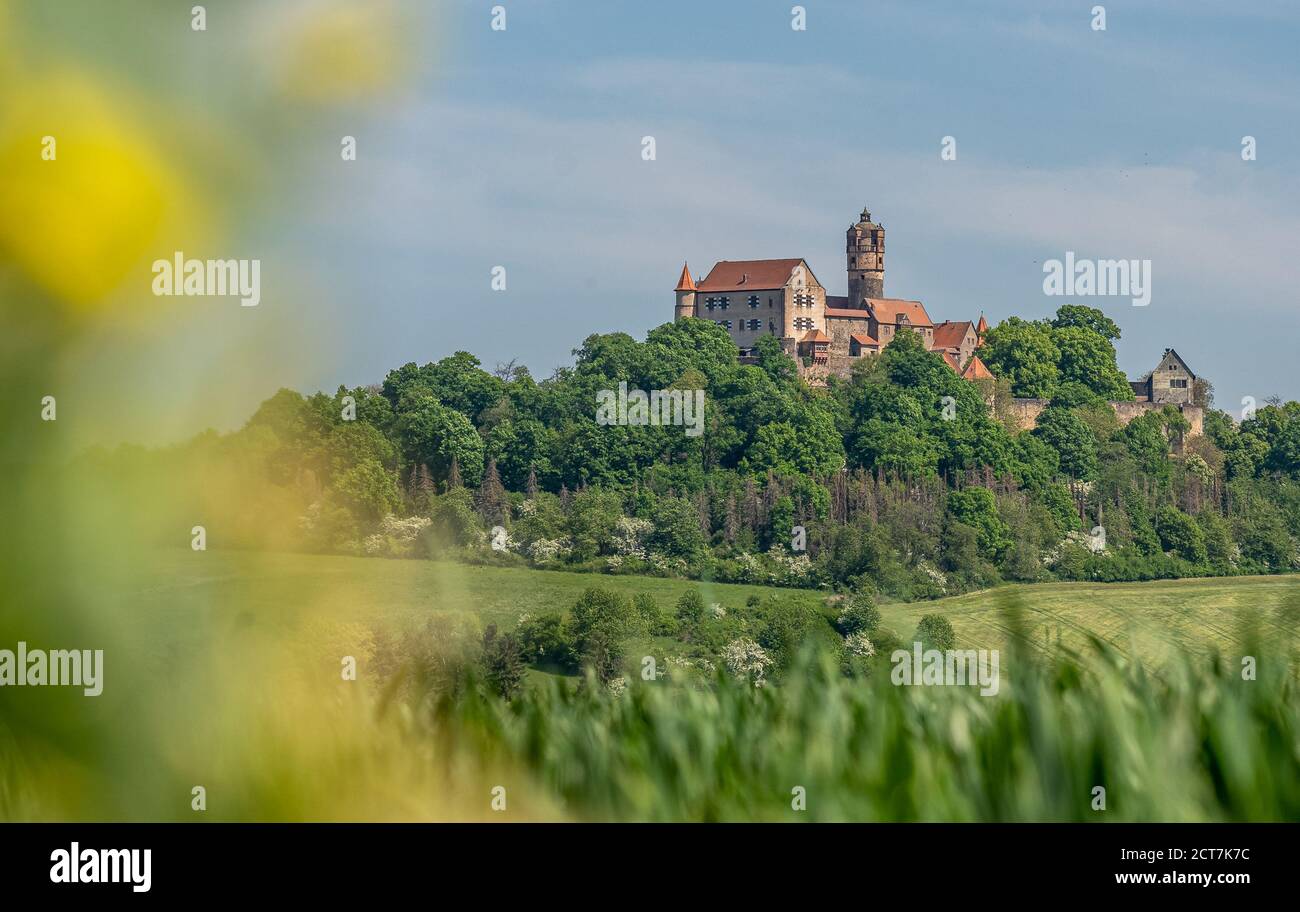vue sur le château de ronneburg à hesse, en allemagne, au premier plan vert Banque D'Images