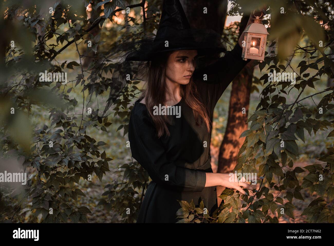 Une jeune femme en robe sombre et chapeau de sorcière tient une lanterne avec des bougies dans ses mains et illumine la forêt. Costume de fête d'Halloween. Garez-vous avec l'autom Banque D'Images