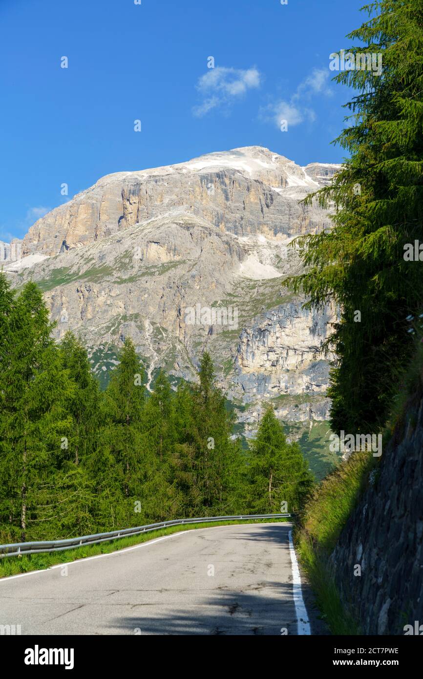 Paysage de montagne en été le long de la route vers Campolongo Pass, Dolomites, province de Belluno, Vénétie, Italie Banque D'Images