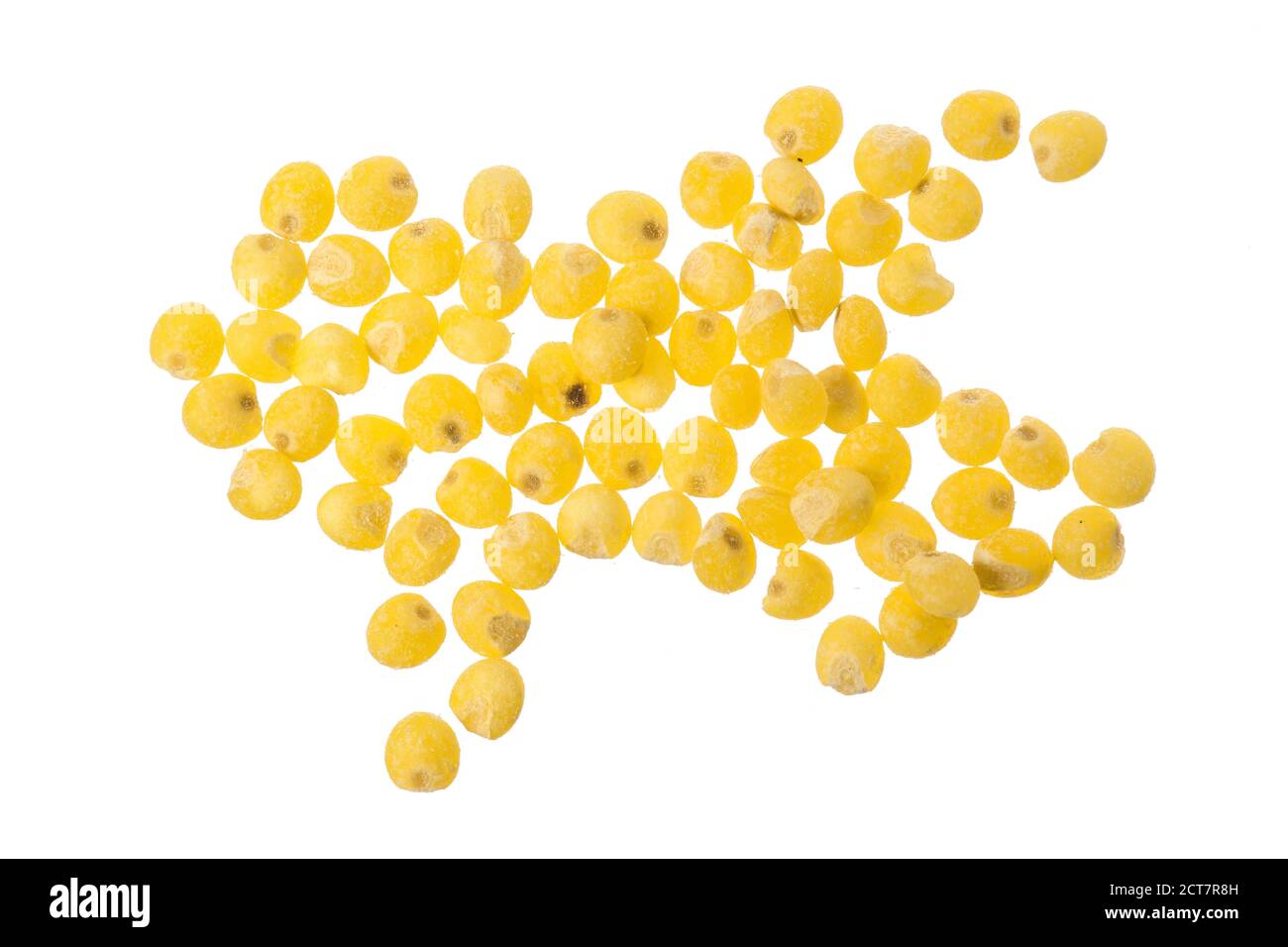 Millet isolé sur fond blanc. Vue d'en haut Banque D'Images
