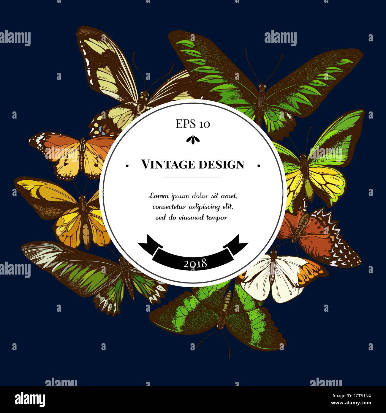 Badge sur le motif avec laçage rouge, nageoires dorées de wallace, grande pointe orange, queue émeraude, tigre Uni, nageoires de rajah brooke, papillio Illustration de Vecteur