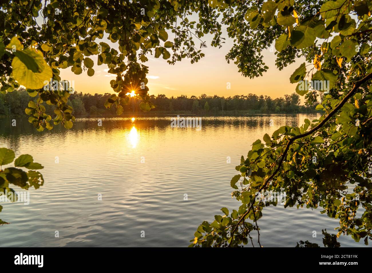 La réserve naturelle de KirchHeller Heide, le lac Heidesee, près de Bottrop, NRW, Allemagne Banque D'Images