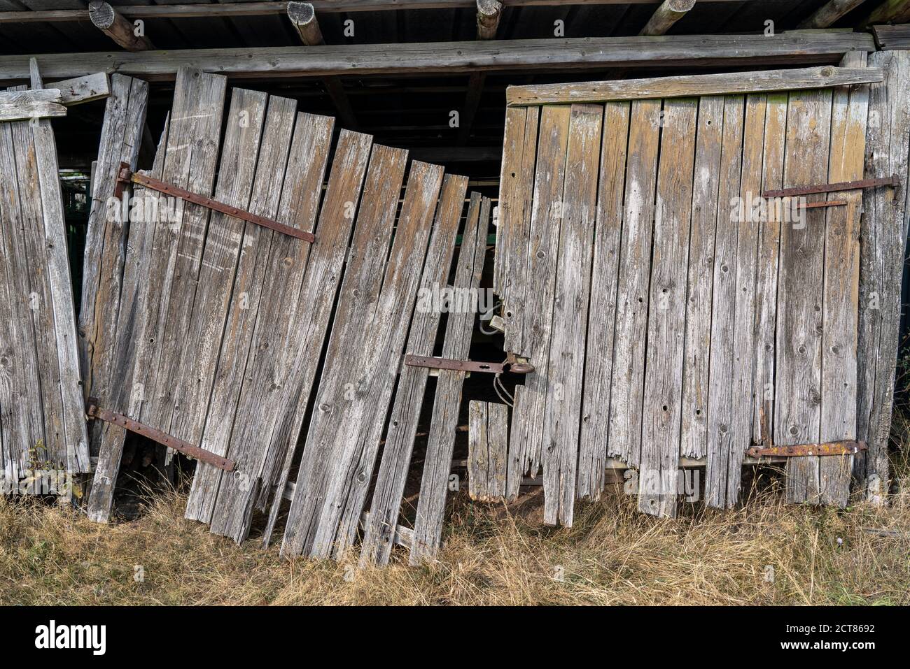 Ancienne, pourrie, pourrie, porte de grange cassée, dans la forêt d'Arnsberg, Sauerland, NRW, Allemagne Banque D'Images