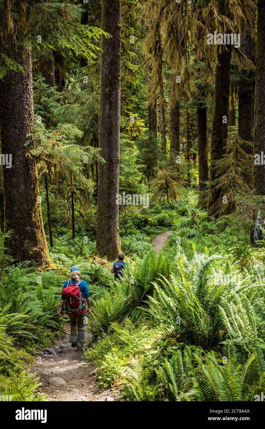 Deux femmes randonnée sur le sentier de la rivière Hoh, forêt tropicale de Hoh, Parc national olympique, Washington, États-Unis. Banque D'Images