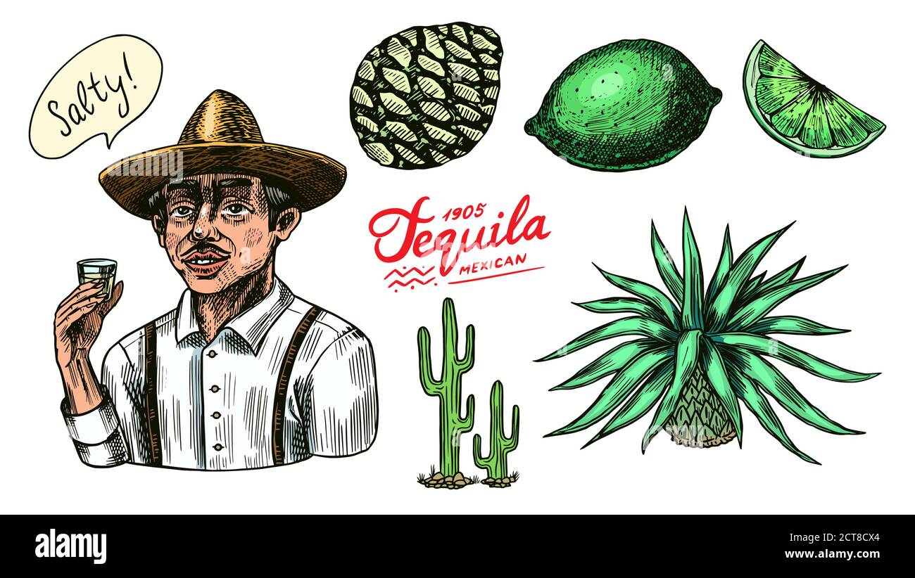 Fruits d'agave, citron et cactus. Fermier dans un chapeau avec une balle de tequila. Dessin vintage gravé à la main. Style de coupe de bois. Illustration vectorielle pour Illustration de Vecteur