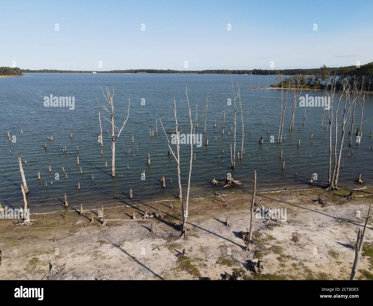 Vue aérienne des troncs d'arbres morts dans le lac ondulé au réservoir de Manasquan par une journée ensoleillée et lumineuse. -41 Banque D'Images