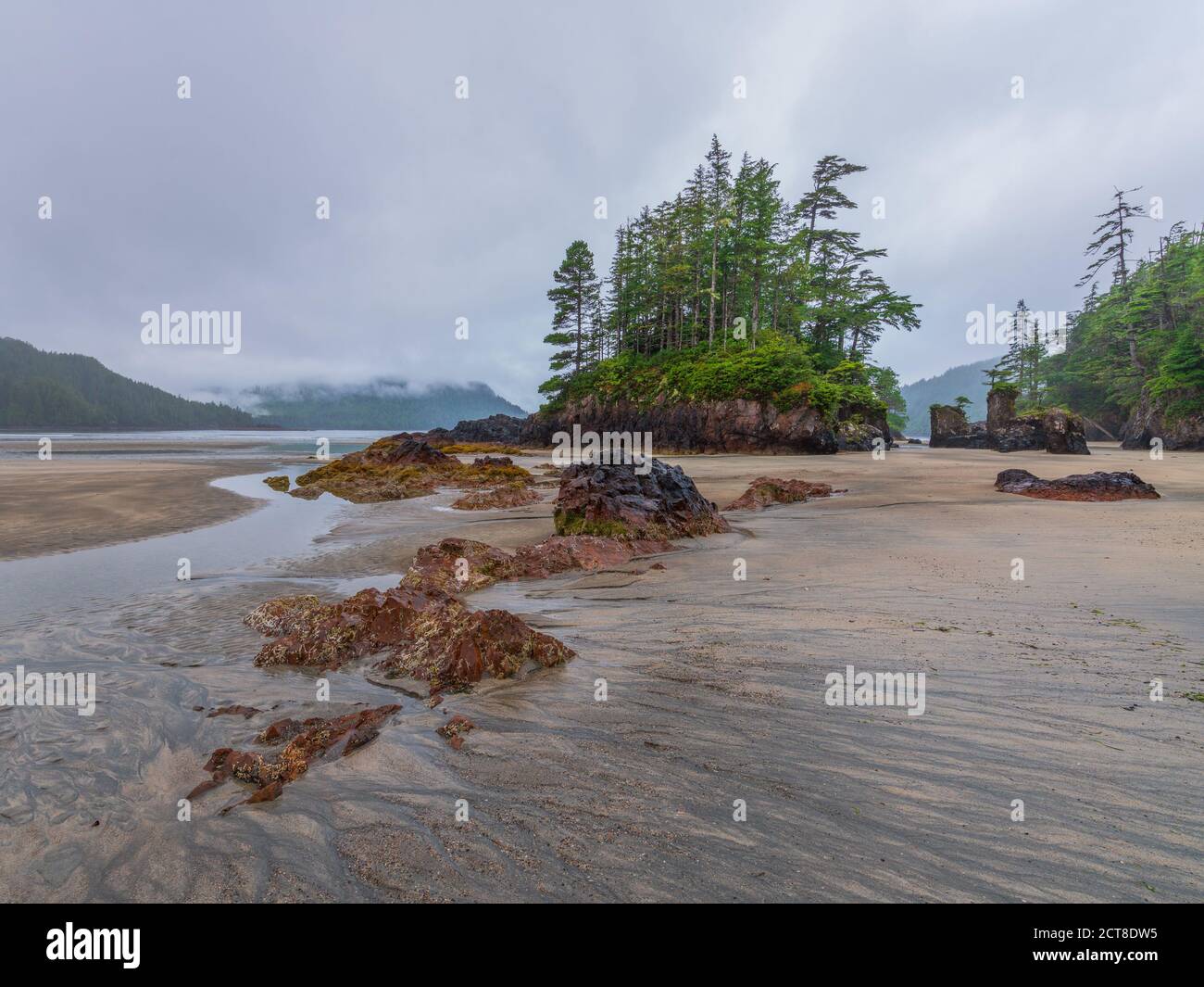 Plage de sable fin, piles de roches et de mer de la baie San Josef située dans le parc provincial Cape Scott, Colombie-Britannique, Canada Banque D'Images Plage de sable fin, piles de roches et de mer de la baie San Josef située dans le parc provincial Cape Scott, Colombie-Britannique, Canada Banque D'Images