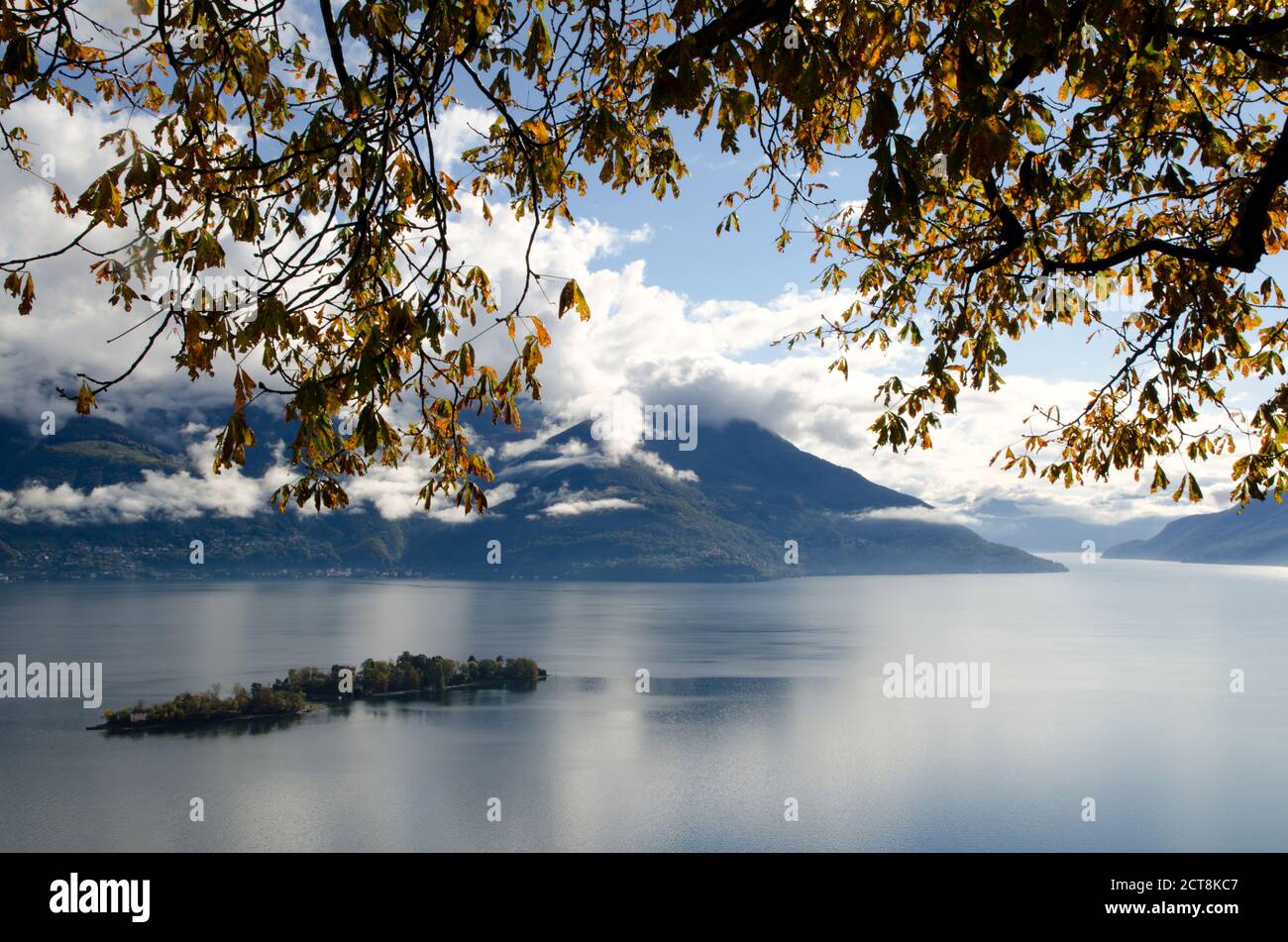 Îles Brissago sur un lac alpin majeur en automne avec des branches au Tessin, Suisse. Banque D'Images