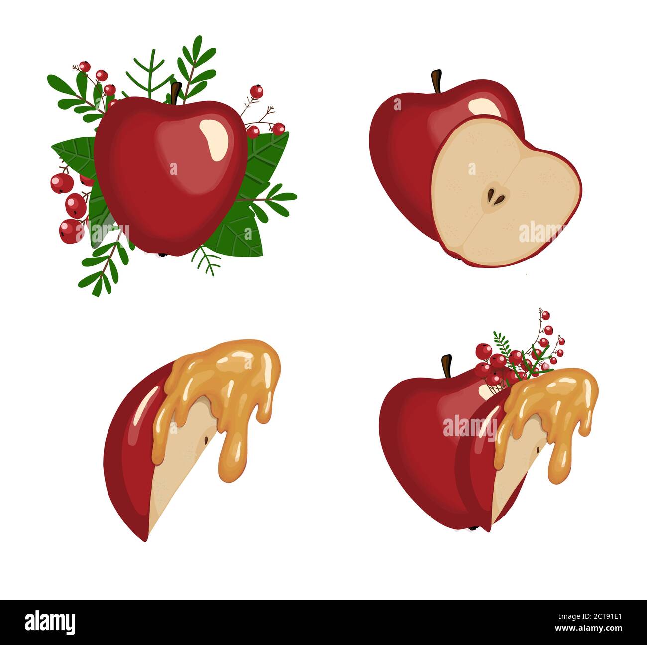 Pomme au miel. Compositions d'automne avec des pommes isolées sur fond blanc Illustration de Vecteur