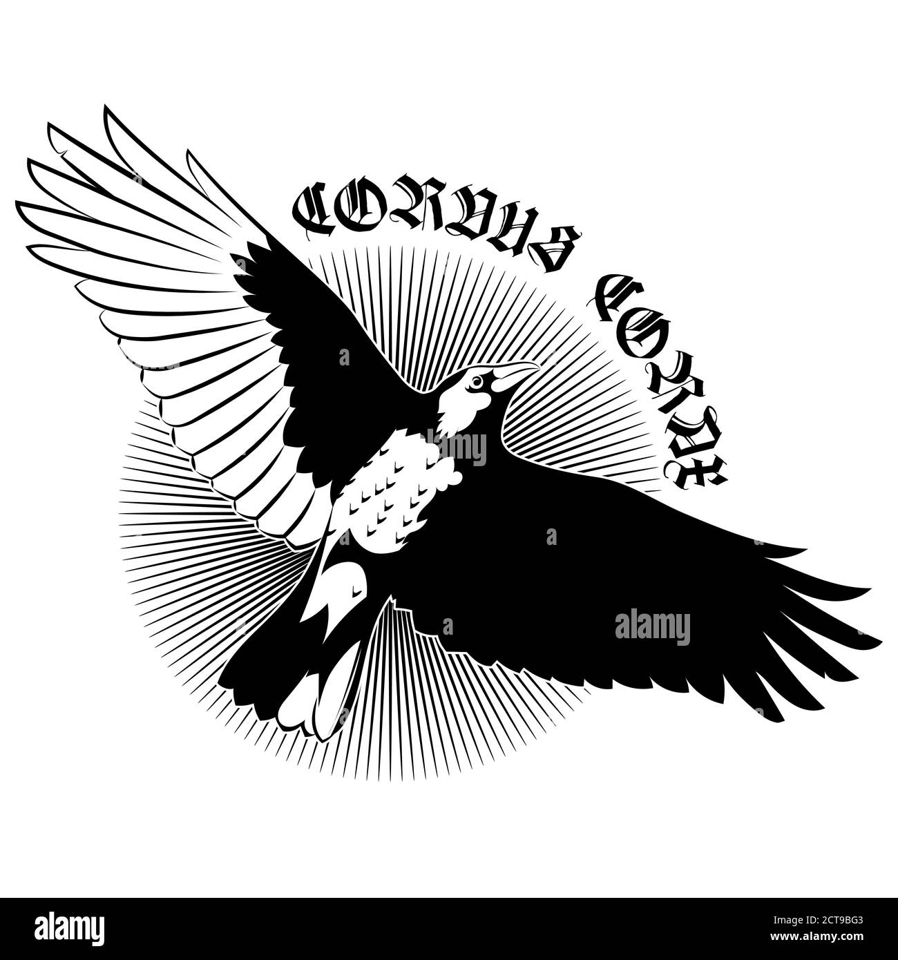 Volant Mighty Black Raven, corbeau, corbeau en vol Illustration de Vecteur