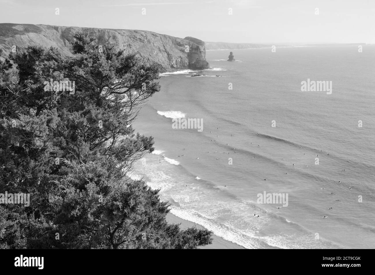 Plage dans la région de l'Algarve au Portugal. Les gens nagent et surfent. Une vue du dessus. Accent sélectif sur les pins au premier plan. Photo vieillie Banque D'Images