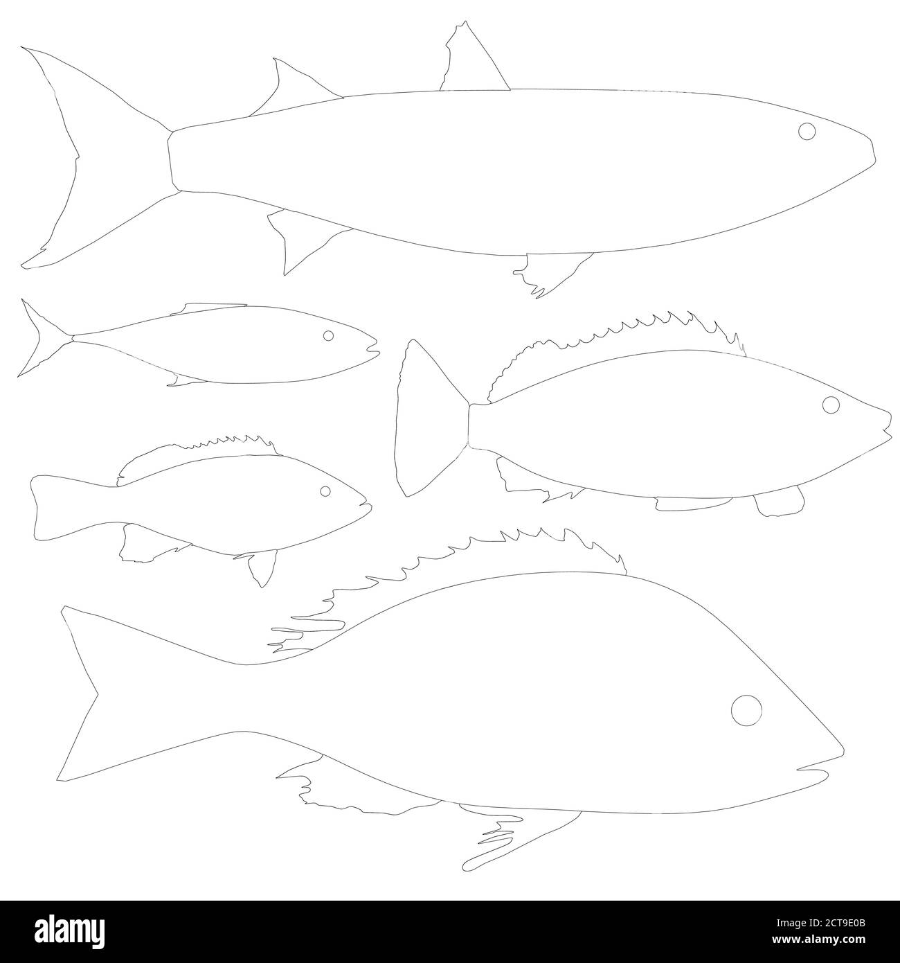 Ensemble avec contours de différents poissons isolés sur un fond blanc. Illustration vectorielle Illustration de Vecteur