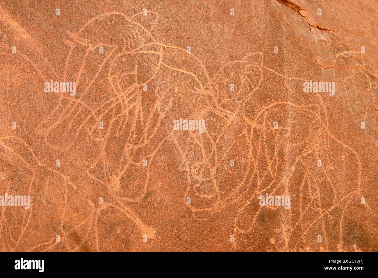 L'Afrique du Nord, Sahara, Algérie, Tassili N'Ajjer, Tadrart, Parc National de l'art rupestre néolithique, rock gravure de 100 timbres Banque D'Images