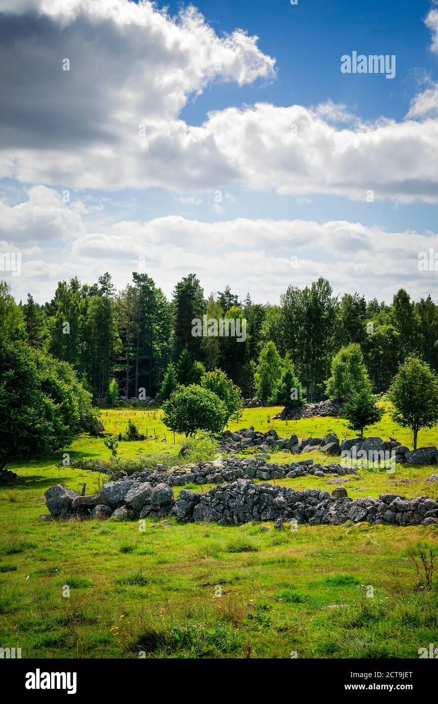 La Suède, Kalmar Smaland, laen, Vimmerby, Vassemala, mur de pierres naturelles, blocs erratiques Banque D'Images