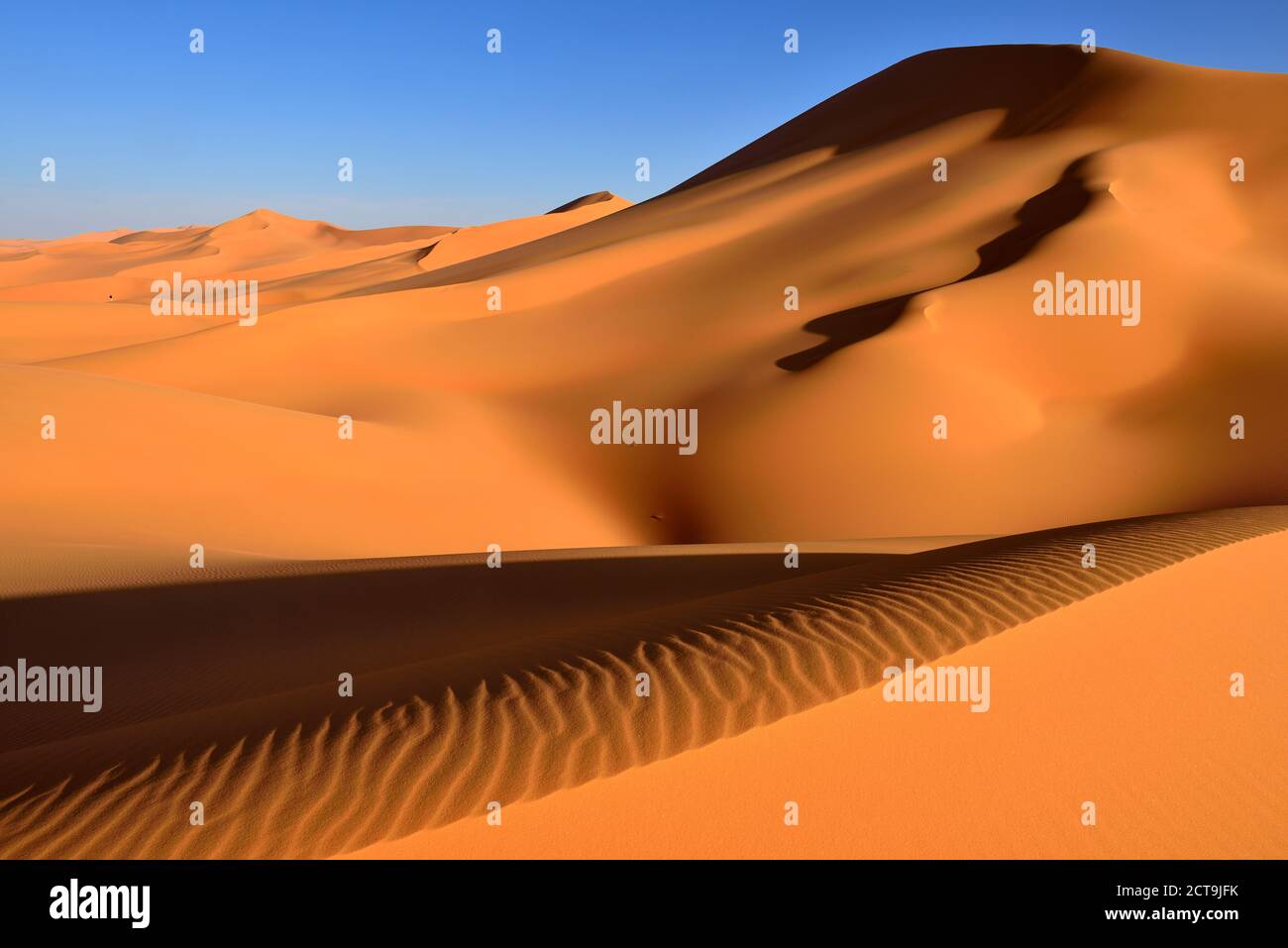 L'Algérie, Sahara, Tassili N'Ajjer Le Parc National, ses dunes de sable d'In Tehak Banque D'Images