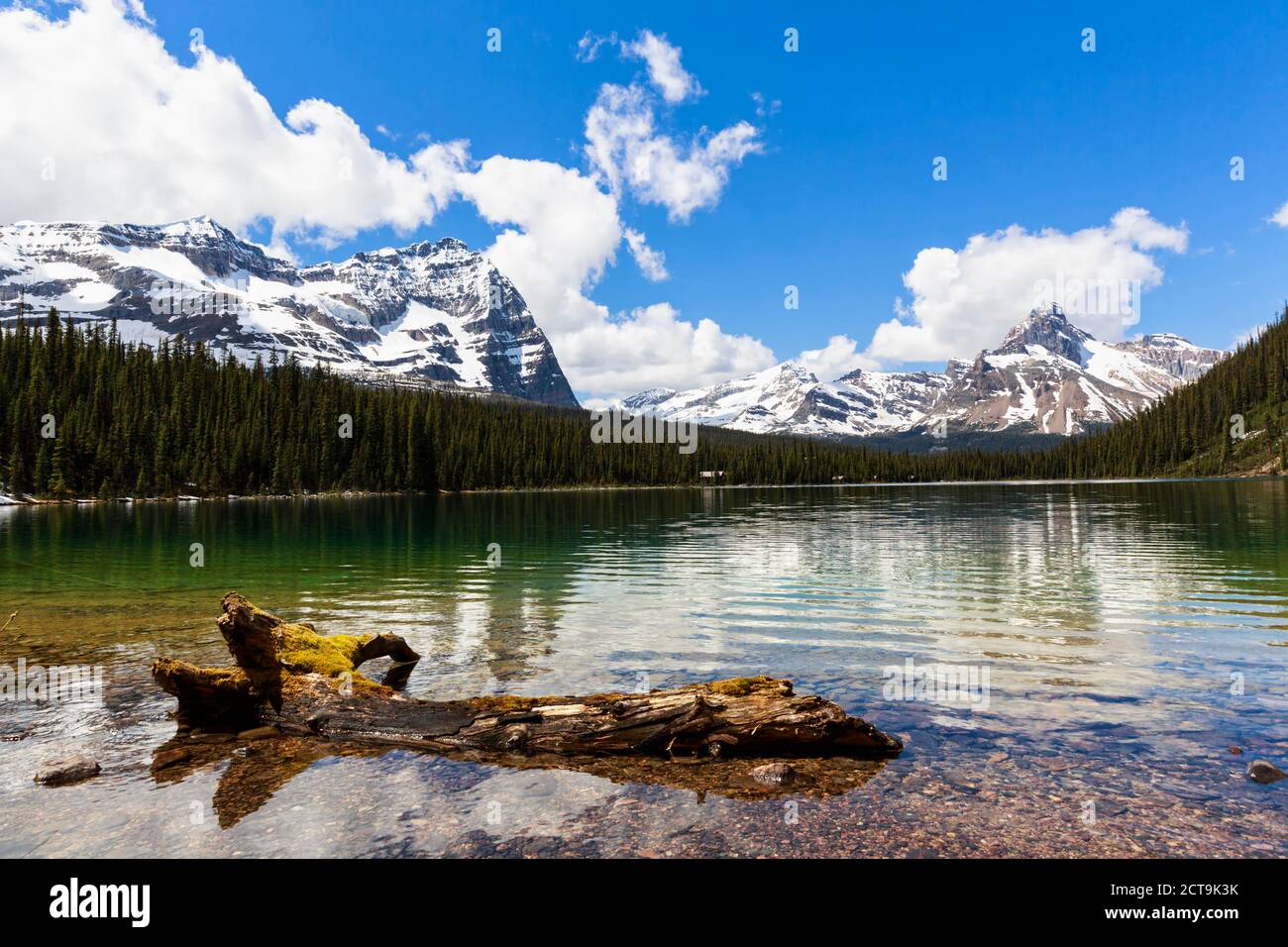 Le Canada, la Colombie-Britannique, le parc national Yoho, lac O'Hara et les montagnes Banque D'Images