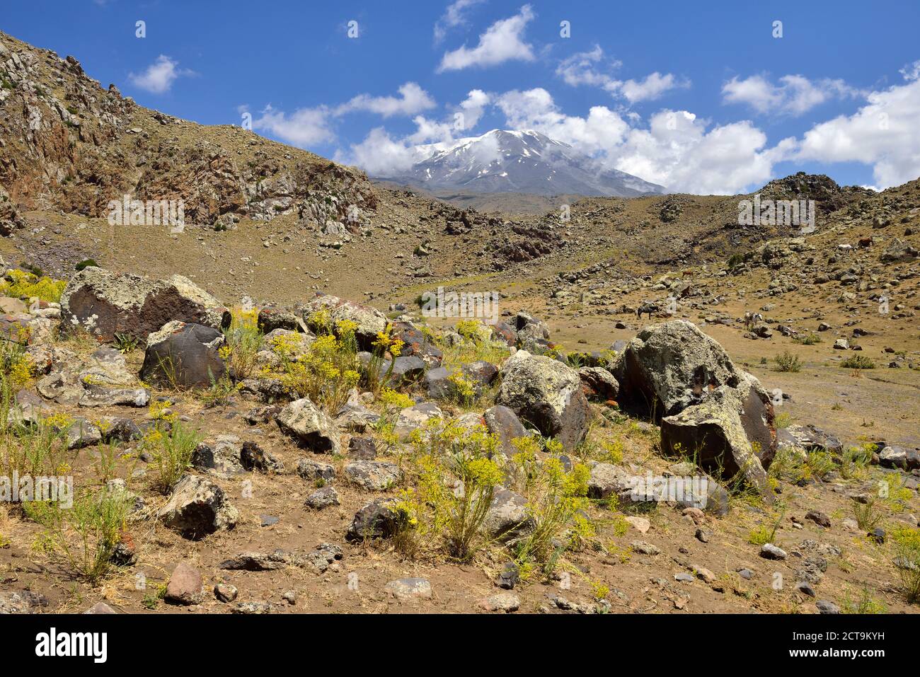 La Turquie, l'Anatolie orientale, de l'Agroalimentaire, Le Mont Ararat province National Park Banque D'Images