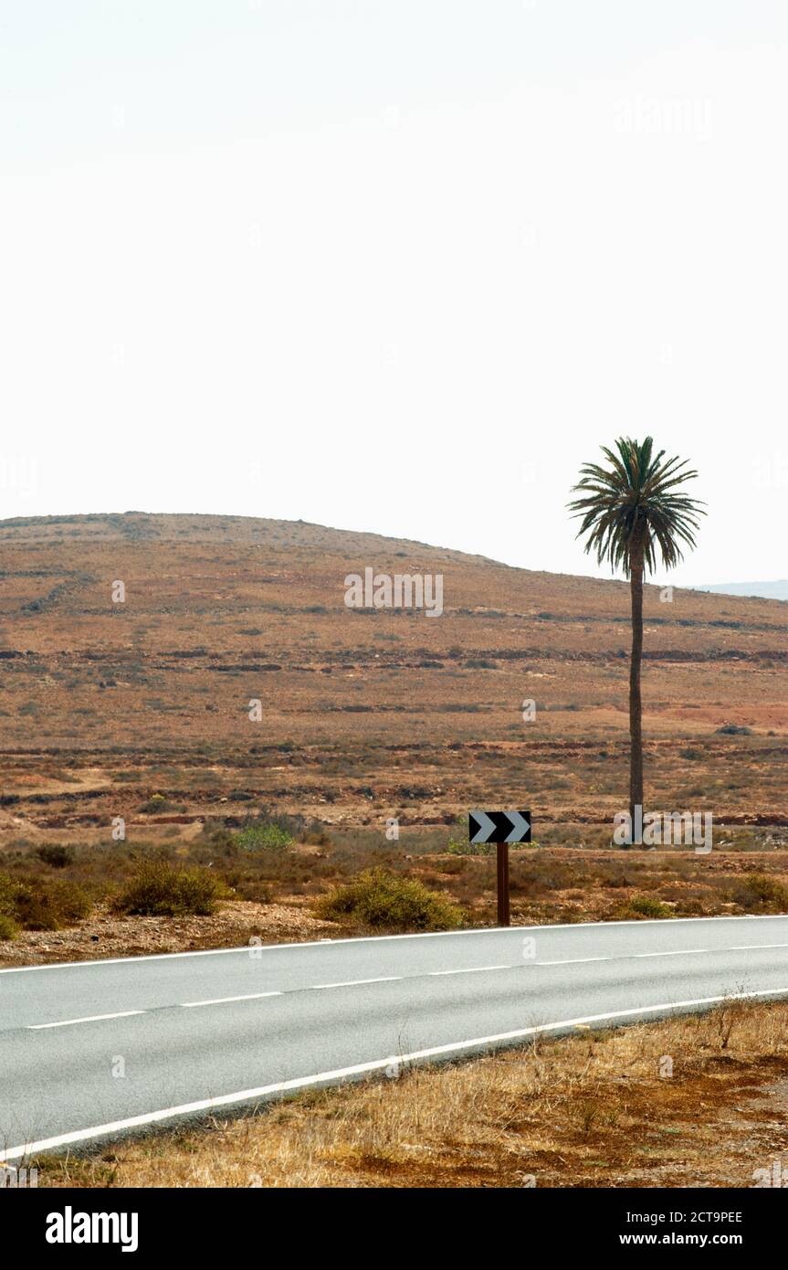 Espagne, Ténérife, paysage avec road et palm tree Banque D'Images