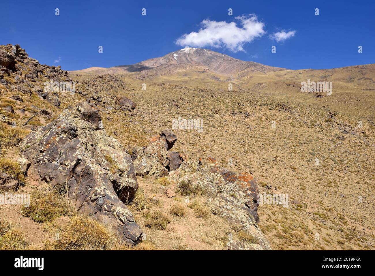 L'Iran, province de Mazandaran, végétation au mont Damavand Banque D'Images