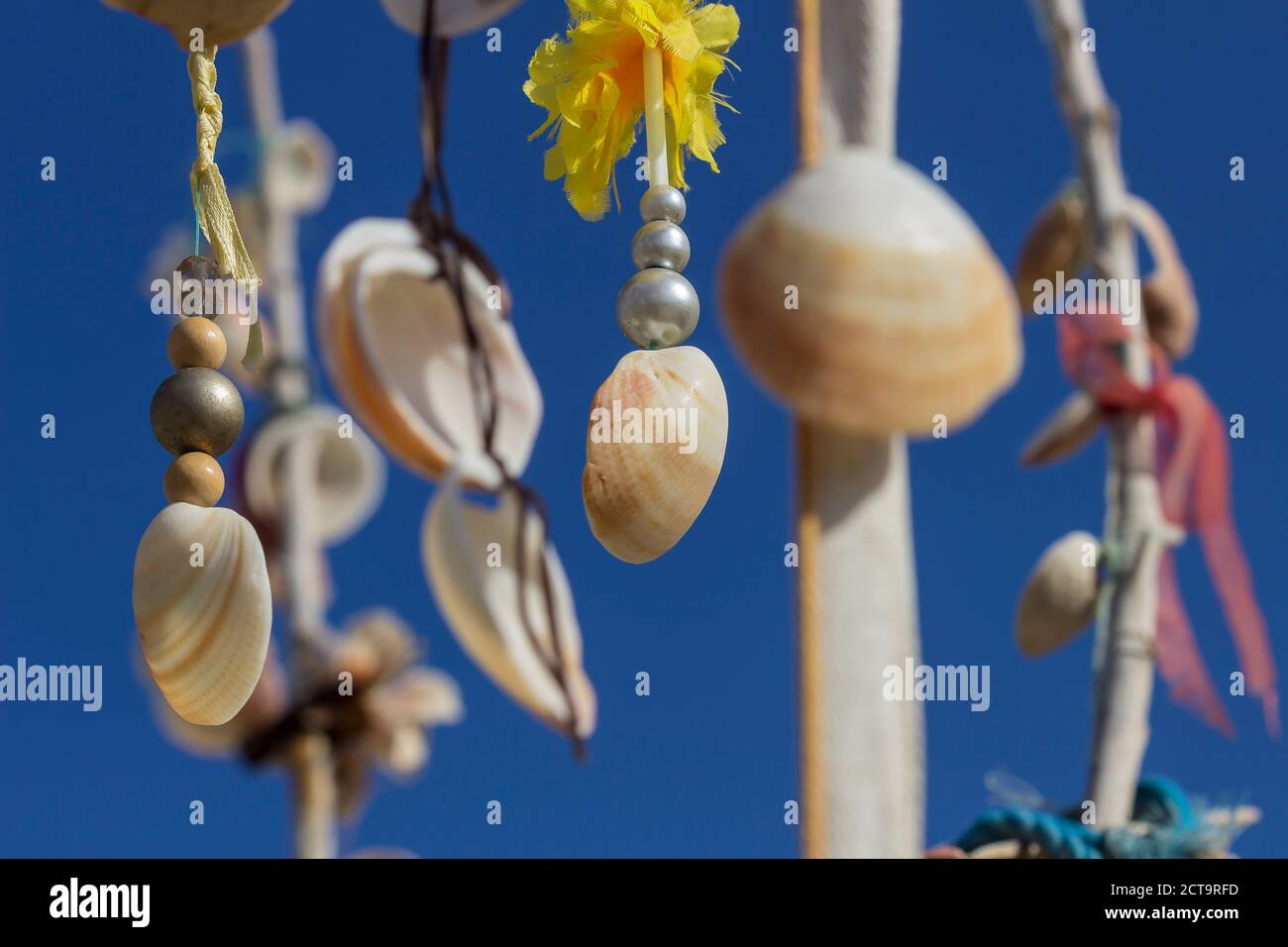 L'Espagne, Îles Baléares, Formentera, arbre des désirs aux moules Banque D'Images