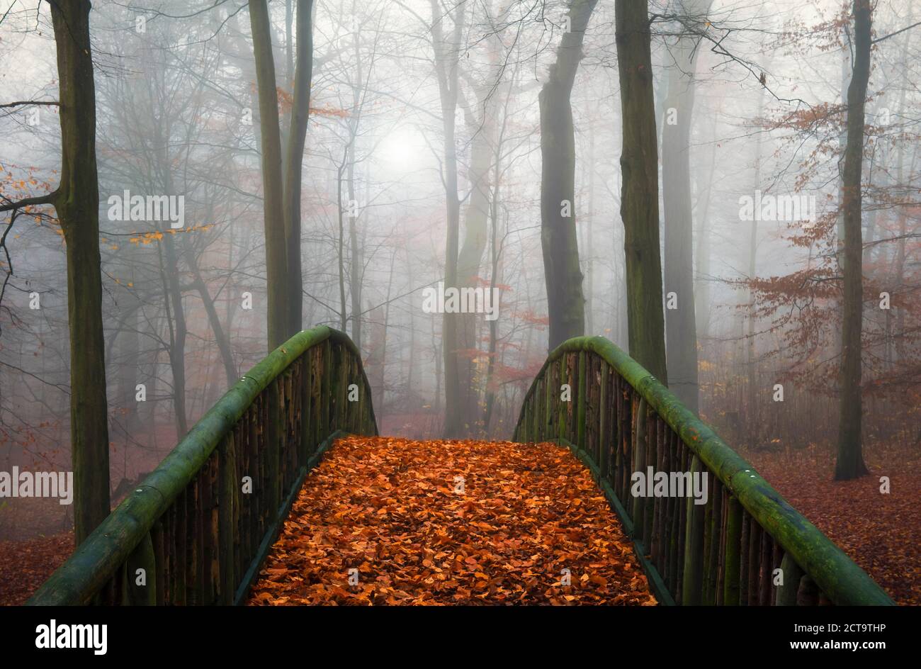 Allemagne, Hambourg, Jenischpark dans le brouillard, pont en bois recouvert de feuilles d'automne Banque D'Images