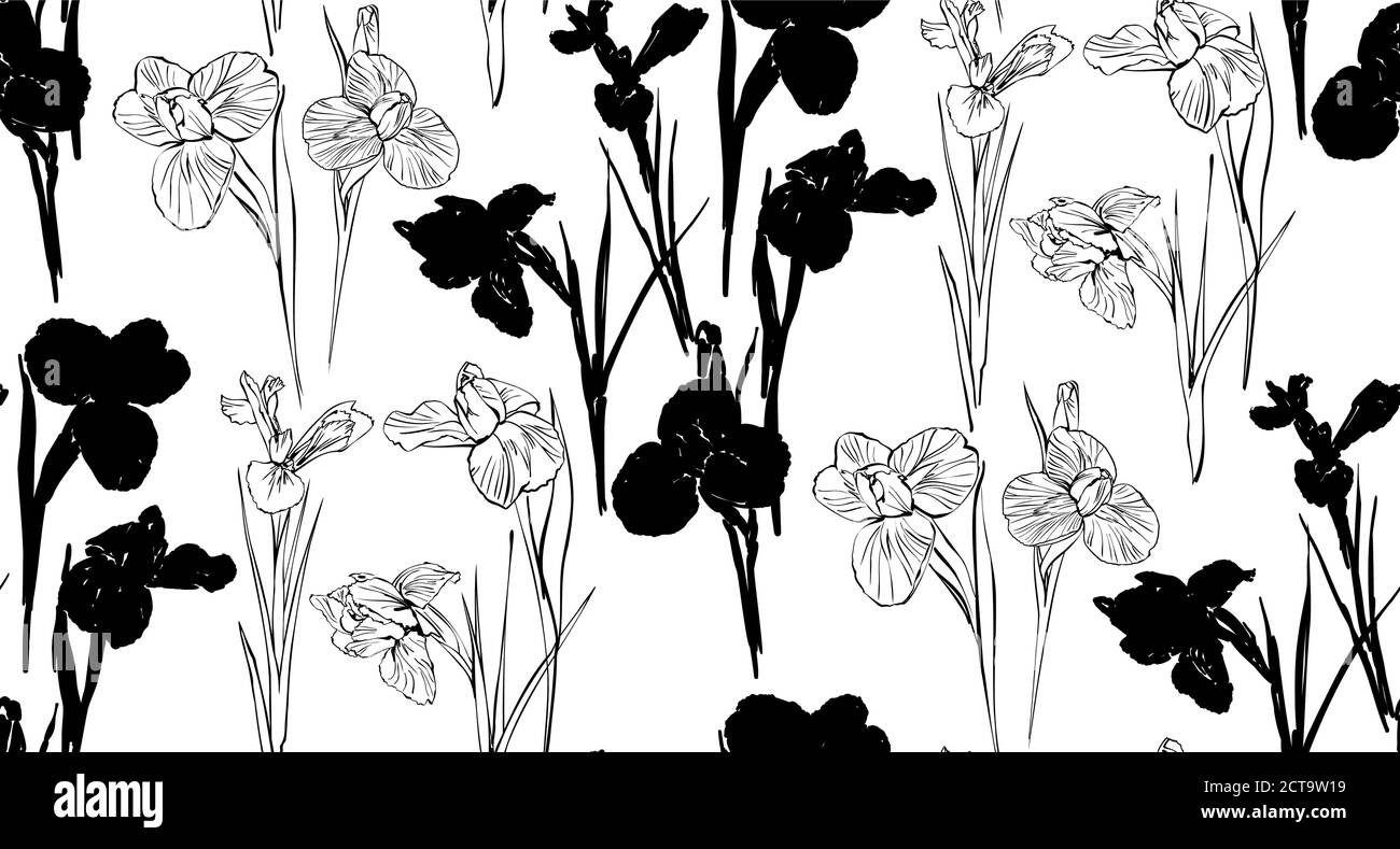 Iris fleurs dessin noir et blanc Banque d'images vectorielles - Page 2