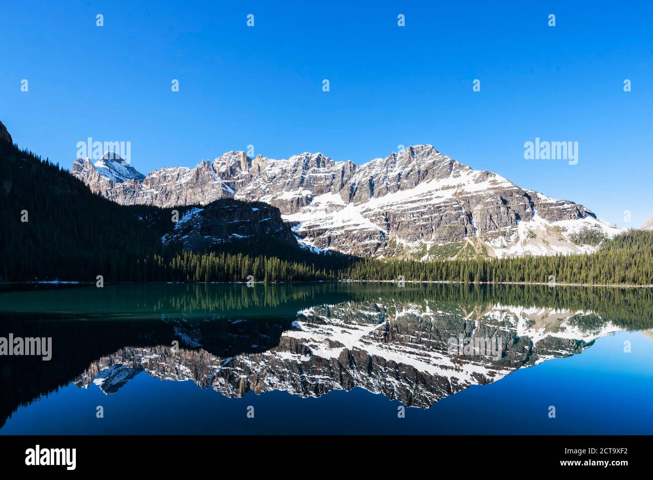 Le Canada, la Colombie-Britannique, le parc national Yoho, le lac O'Hara avec montagnes Banque D'Images
