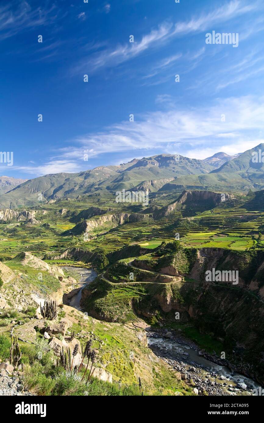 L'Amérique du Sud, Pérou, Colca Canyon Banque D'Images
