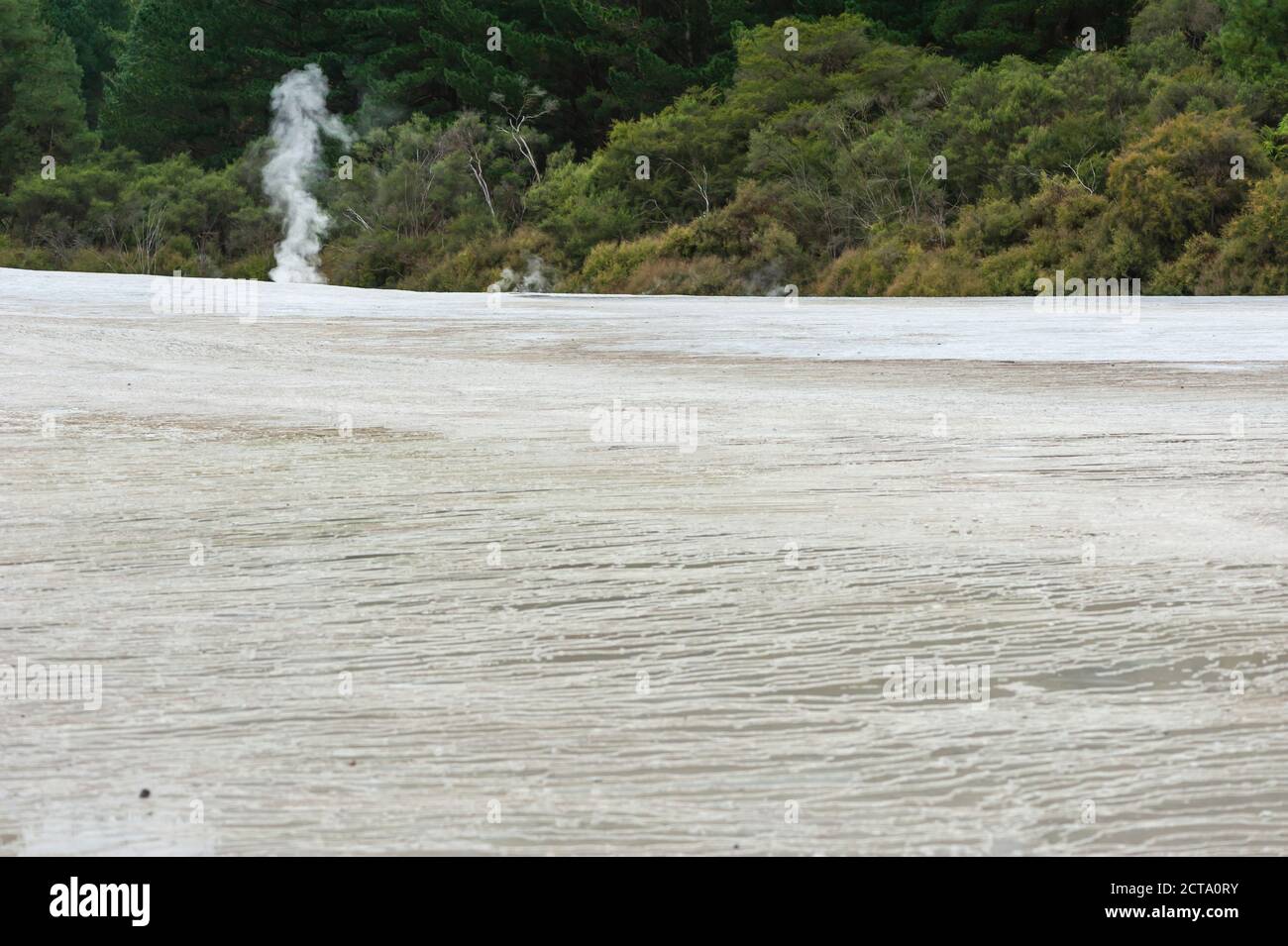 Nouvelle Zélande, île du Nord, la baie de Plenty, Rotorua, Wai-O-Tapu, sinter terrasse avec fumerolle Banque D'Images