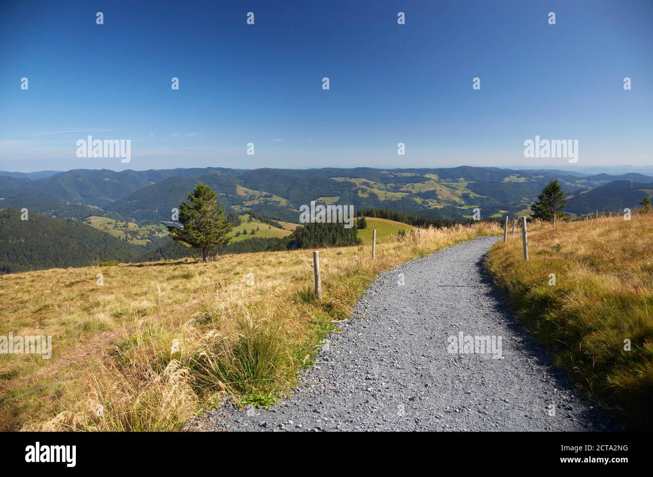 Allemagne, Bade-Wurtemberg, Forêt Noire, chemin du cercle à Belchen Banque D'Images