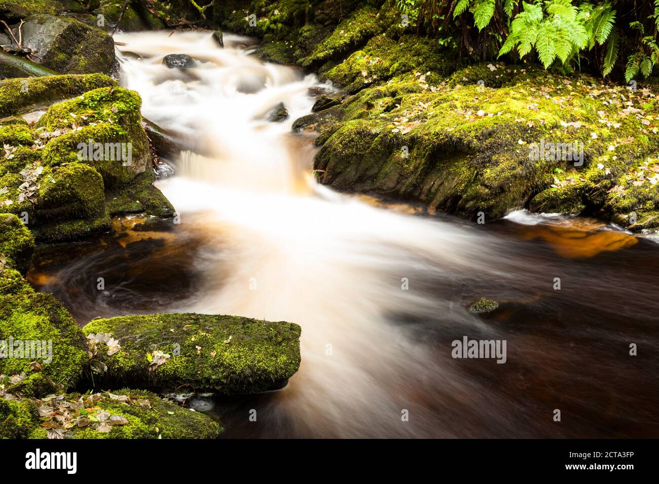 L'Irlande, le Parc National de Killarney, Torc Waterfall Banque D'Images