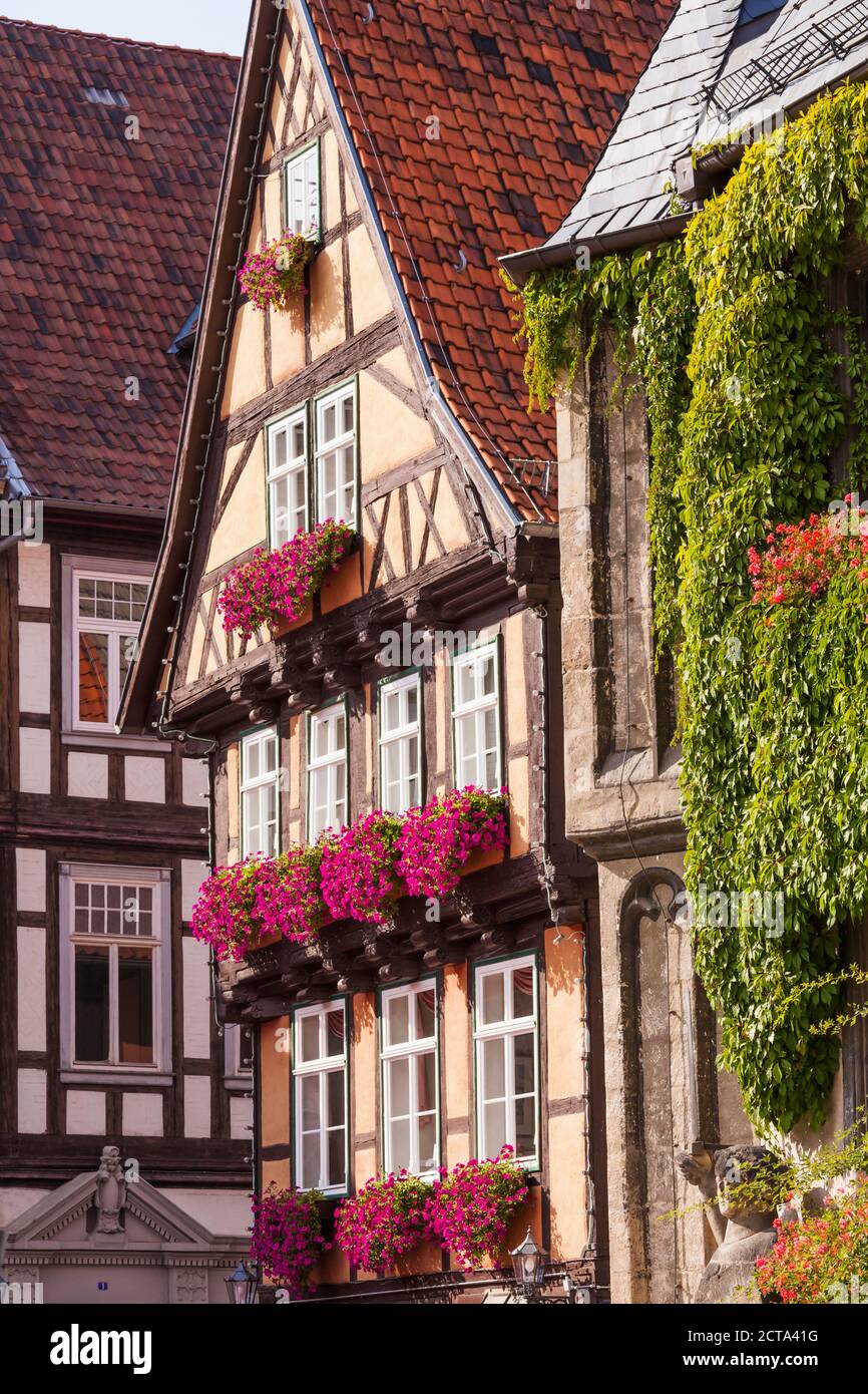 L'Allemagne, la Saxe-Anhalt, Quedlinburg, maisons à pans de bois Banque D'Images