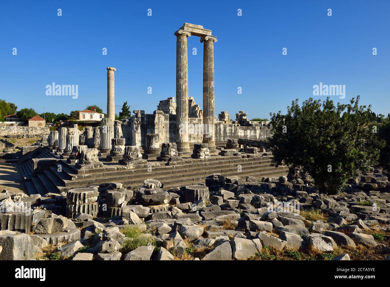 La Turquie, Aydin, Ionie, vue du temple d'Apollon au site archéologique de Didymes Banque D'Images