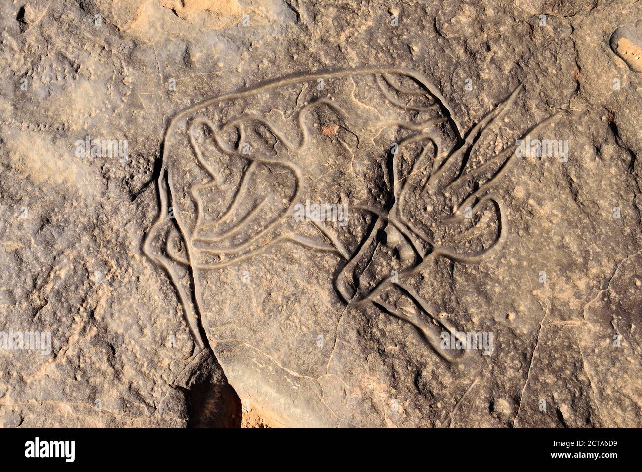 Afrique du Nord, Sahara, Algérie, Parc national de Tassili n'Ajjer, Tadrart, art rupestre néolithique, gravure sur roche de la gazelle endormie Banque D'Images