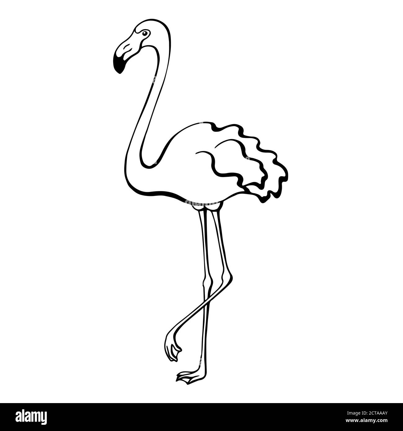 Flamingo oiseau noir blanc esquisse vecteur d'illustration isolé Illustration de Vecteur