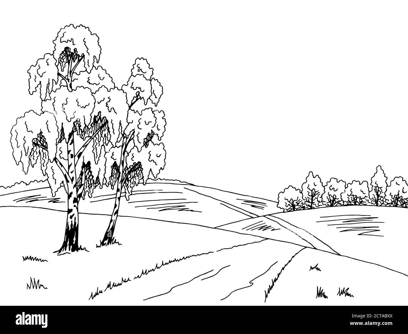 Bouleau arbre route graphique art noir blanc paysage illustration vecteur Illustration de Vecteur