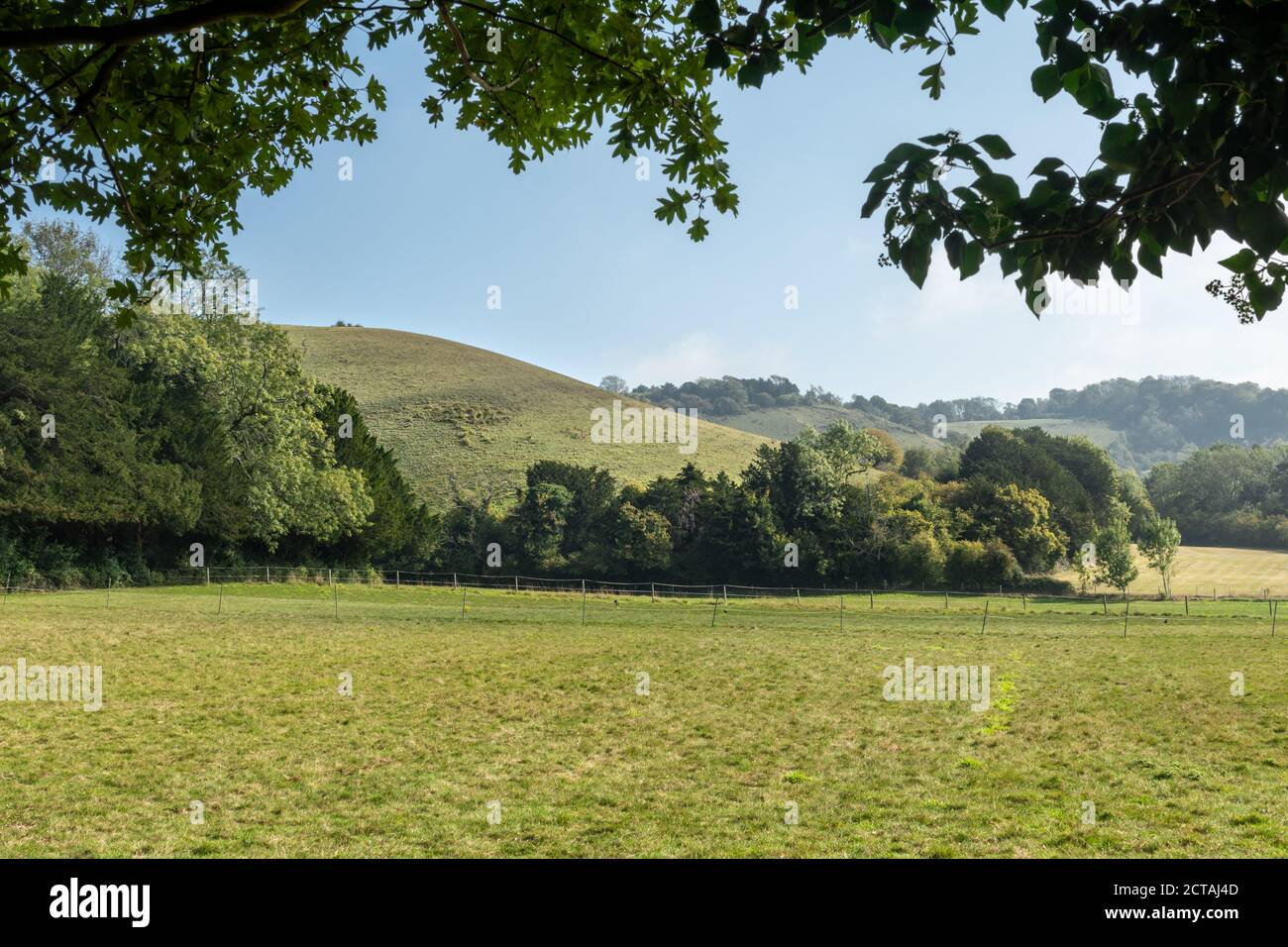 Vue sur les champs jusqu'à Colley Hill et Reigate Hill, dans la région de Surrey Hills, d'une beauté naturelle exceptionnelle, et North Downs, Royaume-Uni, en septembre Banque D'Images