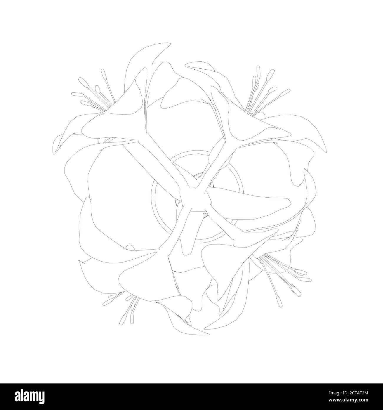 Contour de l'Hippeastrum dans un pot fait de lignes noires isolées sur fond blanc. Vue de dessus. Illustration vectorielle Illustration de Vecteur