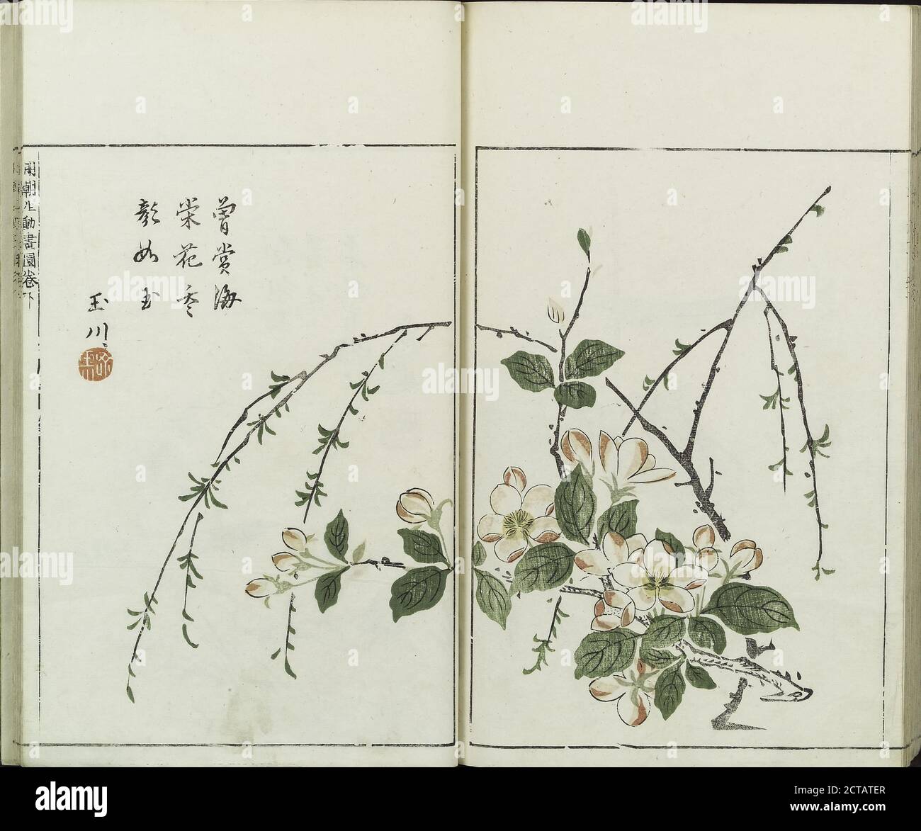 Sorimachi 409, texte, illustrations, 1746 Banque D'Images
