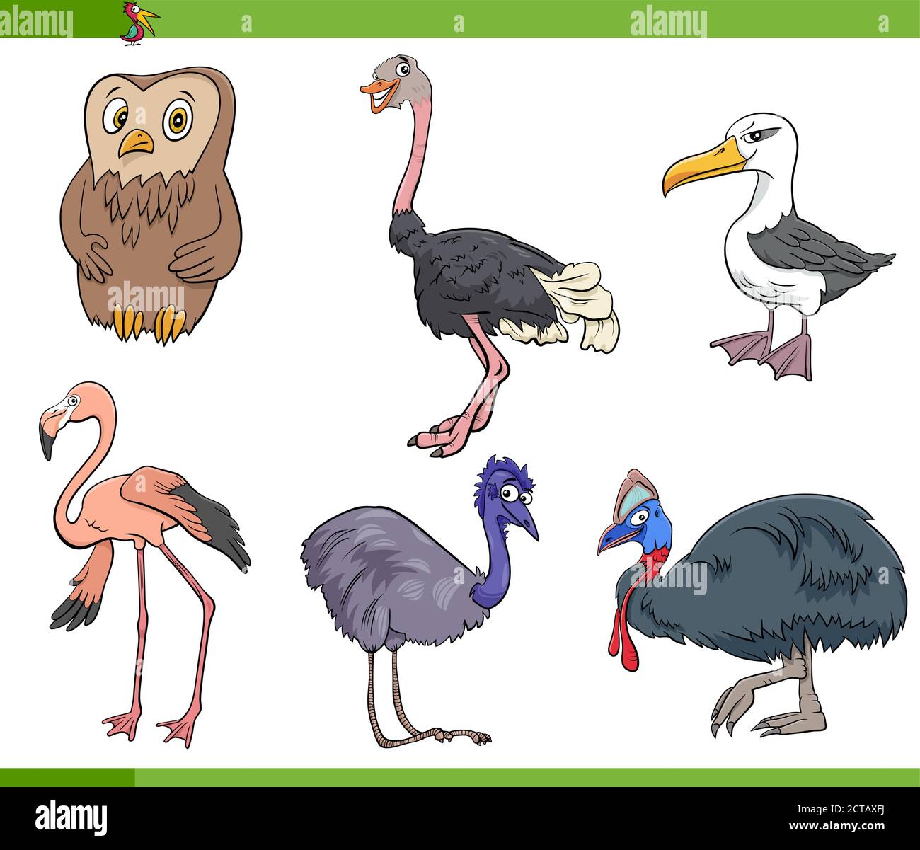Dessin animé Illustration d'oiseaux espèces jeu de caractères animaux Illustration de Vecteur