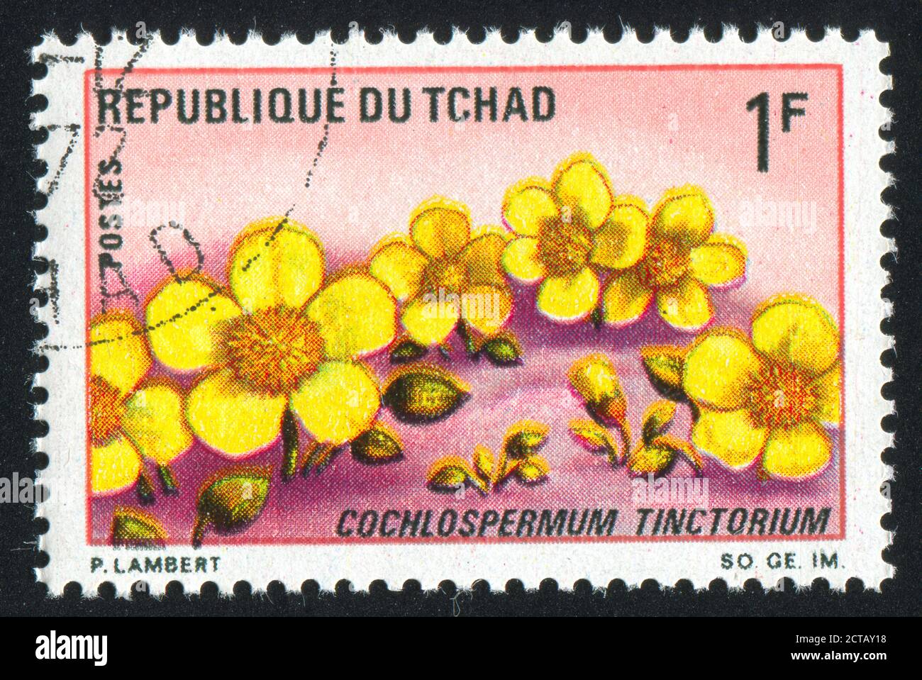 TCHAD - VERS 1969: Timbre imprimé par le Tchad, montre Cochlospermum Tinctorium, vers 1969. Banque D'Images