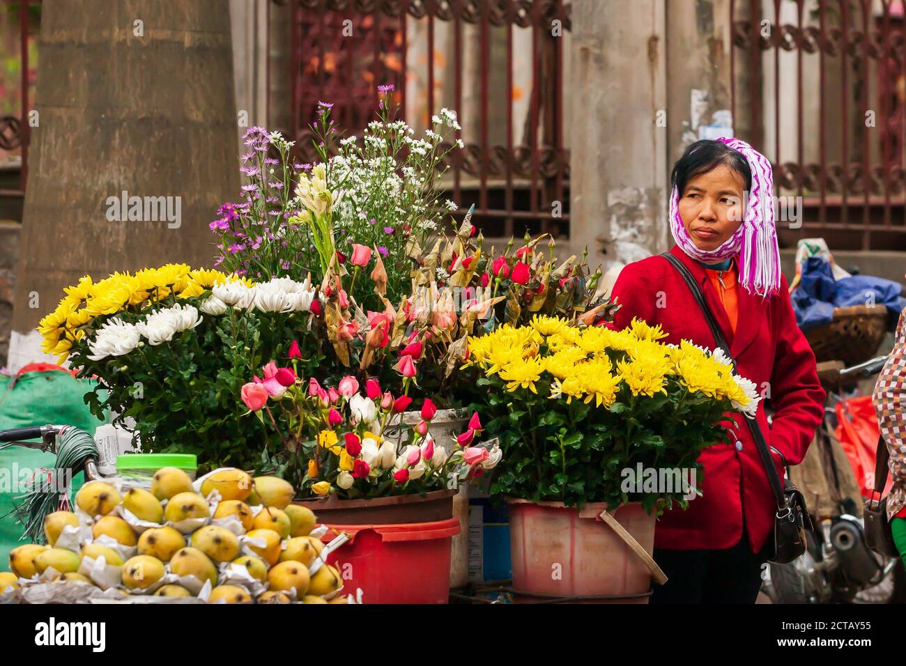 Lao Cai, Vietnam - 29 FÉVRIER 2012: Vendeur de rue vietnamien principal avec vieux vélo vendant des fleurs et des fruits dans la vieille ville. Lai. Banque D'Images