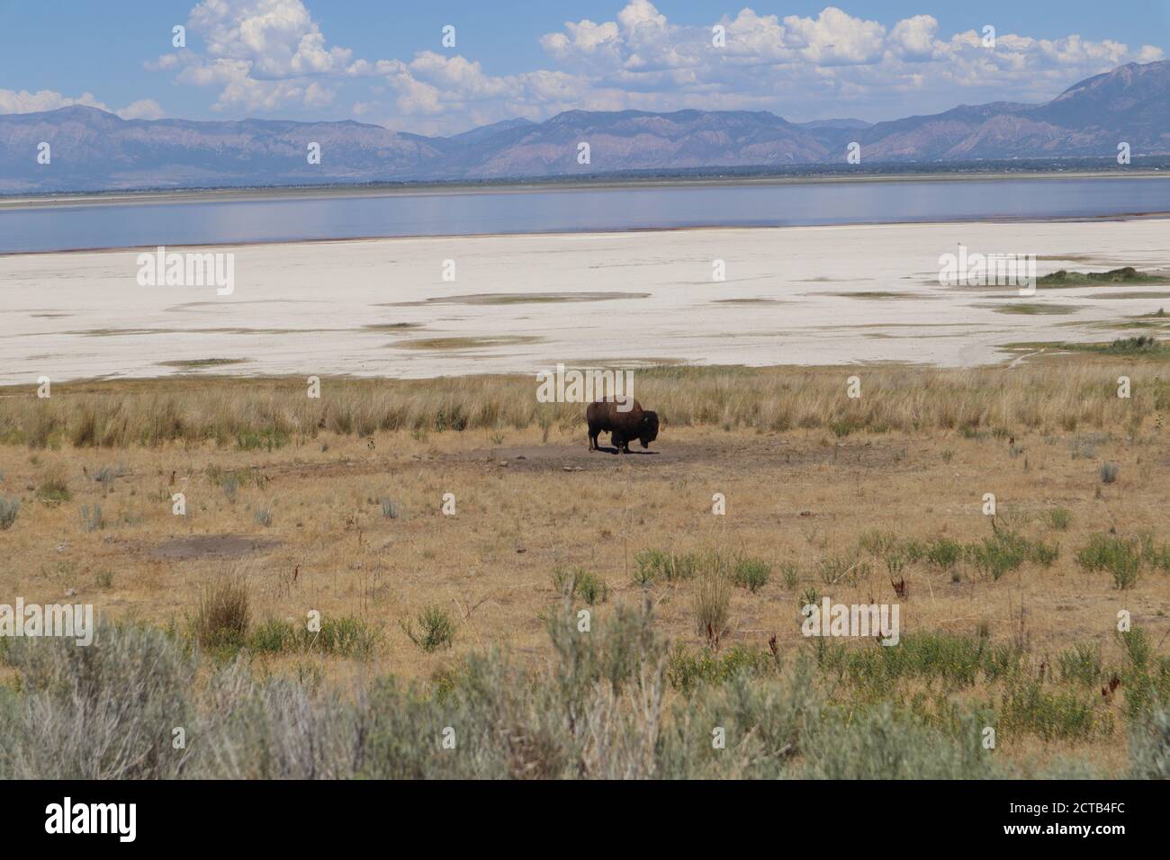 Vue sur le parc national d'Antelope Island dans l'Utah, États-Unis Banque D'Images