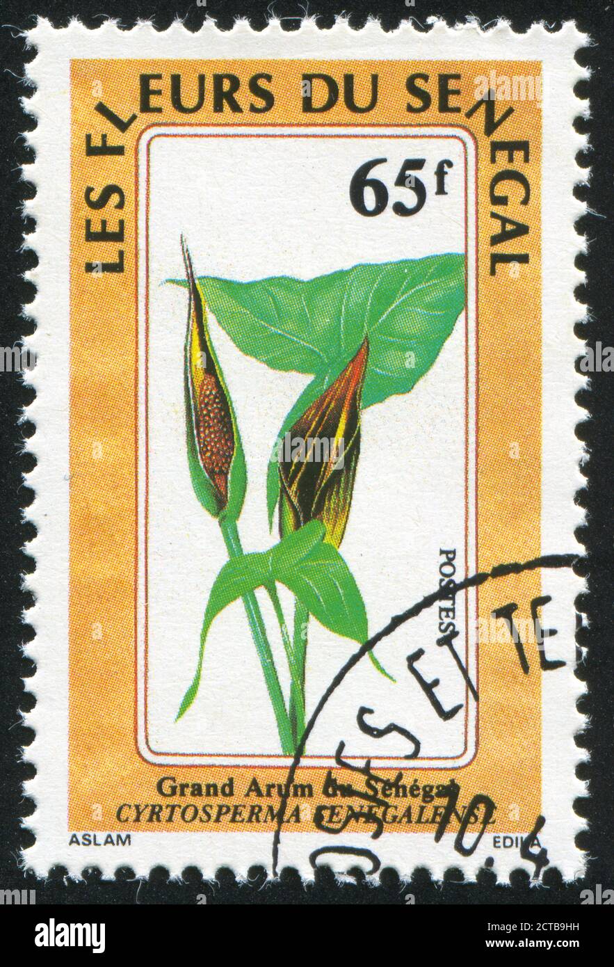 SÉNÉGAL - VERS 1988 : timbre imprimé par le Sénégal, fleurs, vers 1988. Banque D'Images