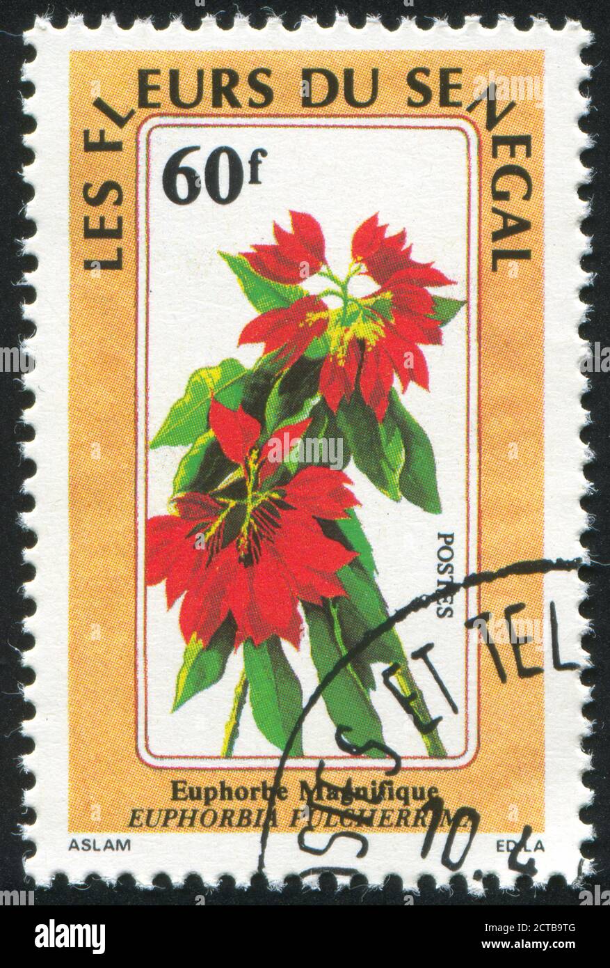 SÉNÉGAL - VERS 1988 : timbre imprimé par le Sénégal, fleurs, vers 1988. Banque D'Images