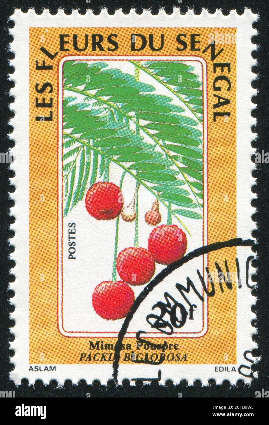 SÉNÉGAL - VERS 1988 : timbre imprimé par le Sénégal, fleurs, vers 1988. Banque D'Images