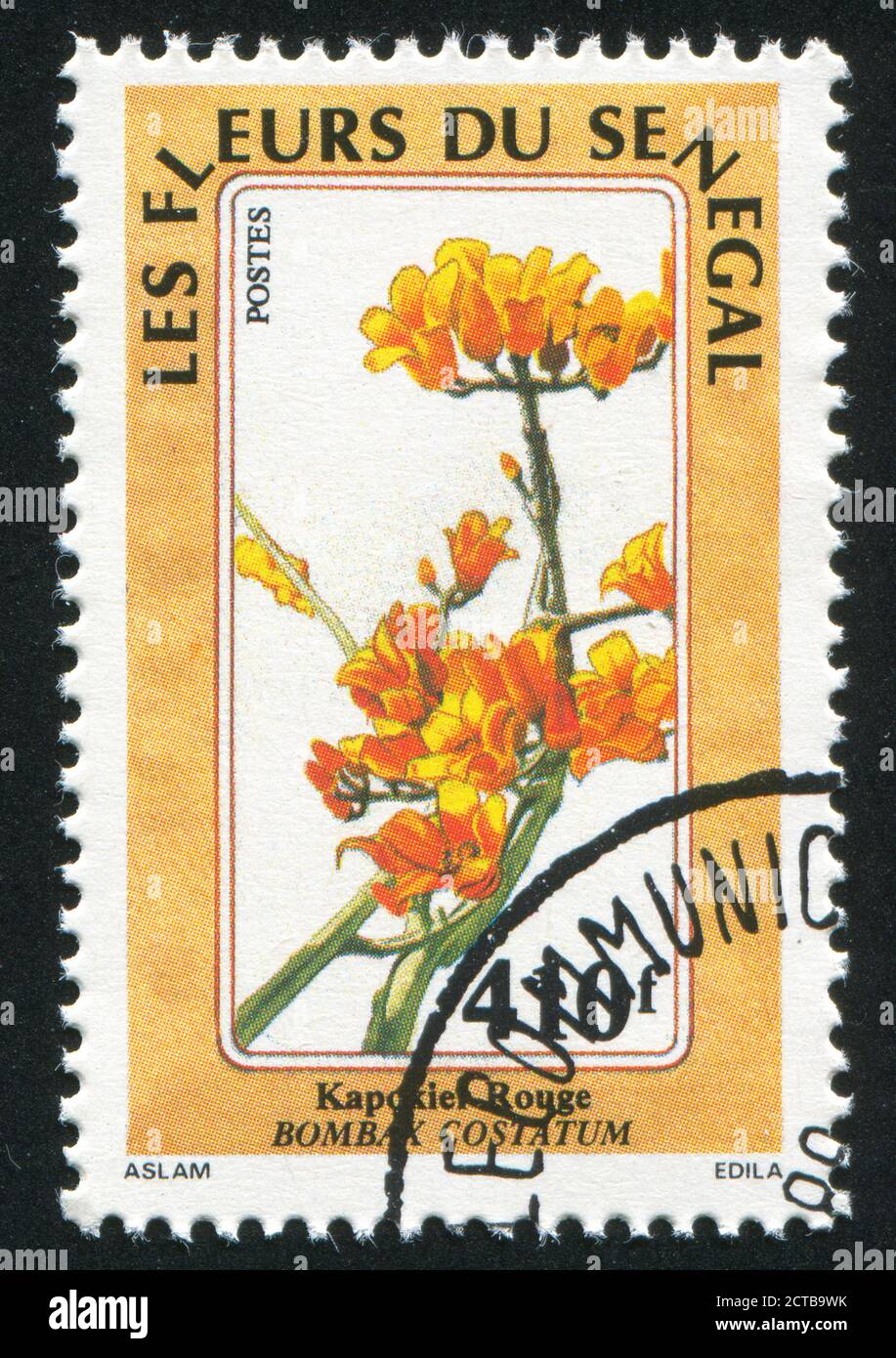 SÉNÉGAL - VERS 1988 : timbre imprimé par le Sénégal, fleurs, vers 1988. Banque D'Images