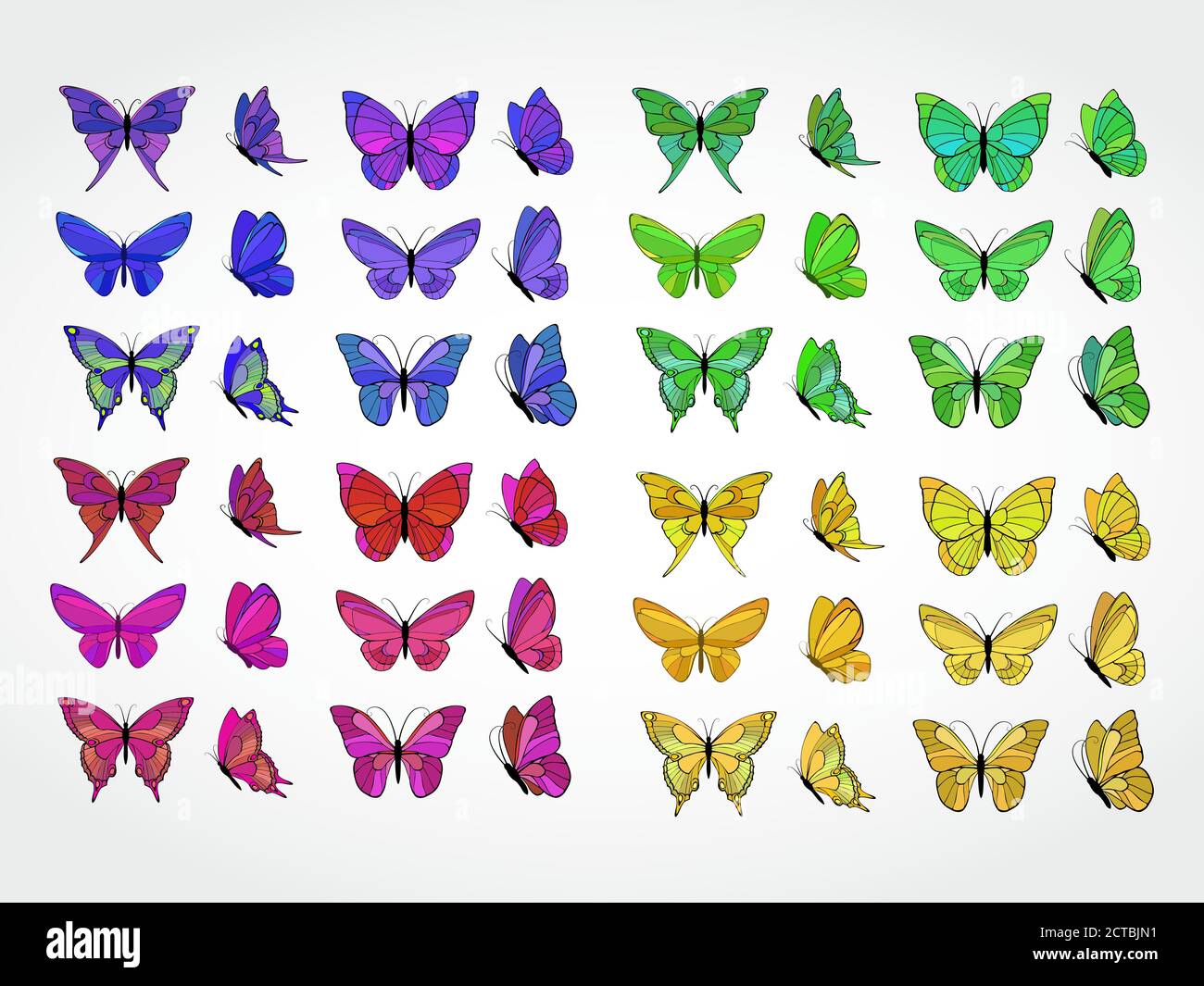 Collection vectorielle de papillons colorés Illustration de Vecteur
