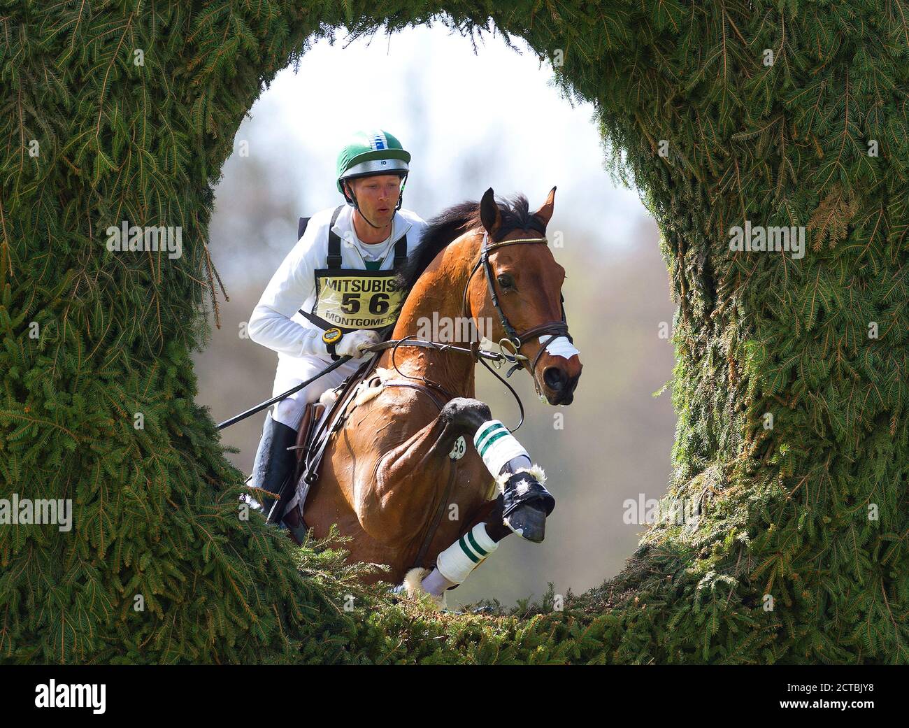 ESSAIS DE CHEVAUX DE BADMINTON 2013 COPYRIGHT IMAGE : MARK PAIN 06/05/2013. 07774 842005 CRÉDIT PHOTO : © MARK PAIN / PHOTO DE STOCK D'ALAMY Banque D'Images