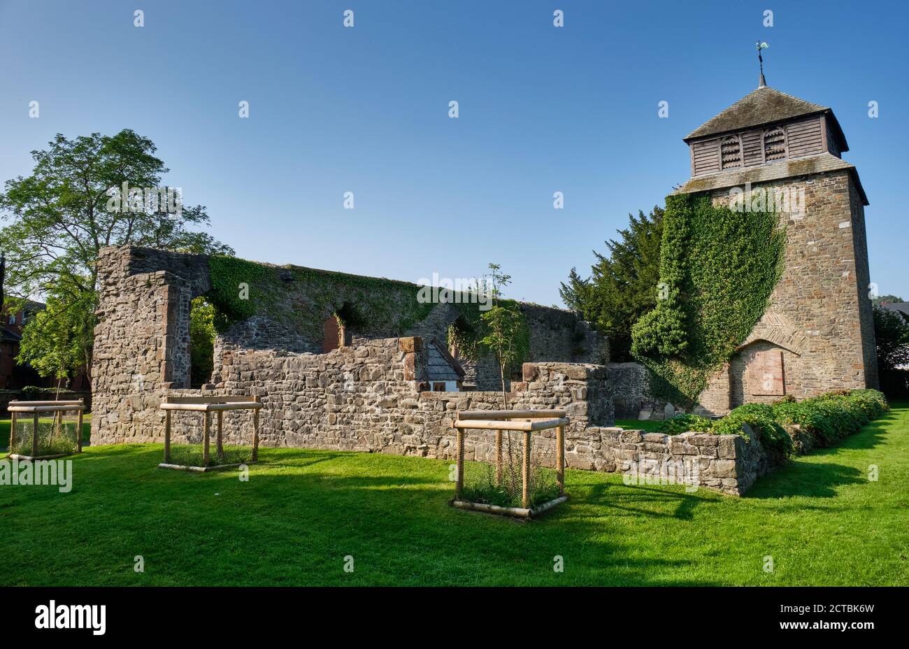 Ruines de l'église Sainte Marie, Newtown, Powys, pays de Galles Banque D'Images